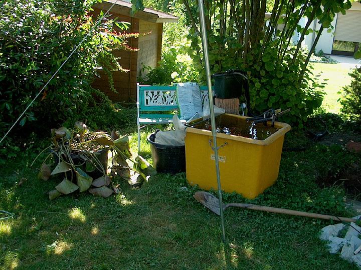 IM002997.JPG - The fish and green plants have been put into holding tanks.